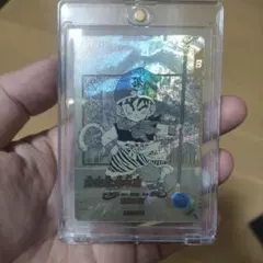 ドラゴンボールカード　アドバンスパック　孫悟飯　幼年期　パラレル