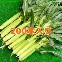 yc200 朝採り ハウス ヤングコーン 100本 ベビーコーン 野菜 - メルカリ