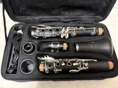 Item thumbnail for item 2790aad9-13ed-4fe7-a97d-19a413d89873