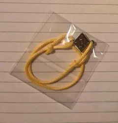 うたプリ　タブナイ　キャラバン　購入特典　コードブレスレット　美風藍　①