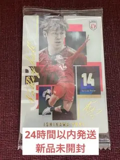 バレーボール男子日本代表 ツインウエハース 石川祐希　14 3-26 カード