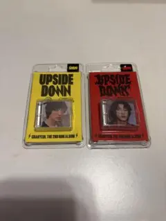 チャニョル CHANYEOL UPSIDEDOWN smini セット