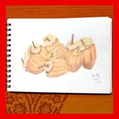 今年８８歳になるおばあちゃんの鉛筆画【干し柿】イラスト 絵画 色鉛筆画