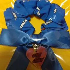 2025年最新】プロミル シュシュの人気アイテム - メルカリ