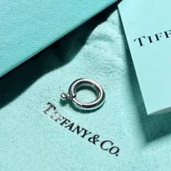 ティファニー ラージ　クラスプ　留め具　クラスピング　リンク　Tiffanyのサムネイル