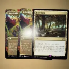 MTG 花を手入れする者　２枚 ローウィンの昏明 日本語 Foil ECL MTG 花を手入れする者 2枚 ローウィンの昏明 日本語 Foil ECL - メルカリ
