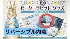 レア 郵便局限定　ピーターラビット120周年　リバーシブル 内着