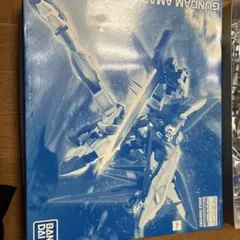 MG 1/100 エクリプスガンダム 改修 塗装済 完成品 キラヤマト カスタム
