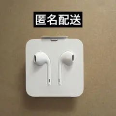 新品未使用品 Apple純正イヤホン （有線タイプ）ライトニング