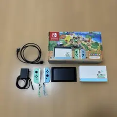 Nintendo Switch あつまれ どうぶつの森デザイン
