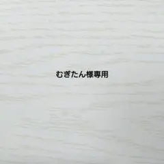 むぎたん様専用　羊毛フェルト　犬　ミニチュアダックスフンド【３匹】ハンドメイドのサムネイル
