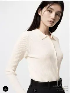 Item thumbnail for item 4b1f3f1d-f77f-4572-921b-8cff47708236