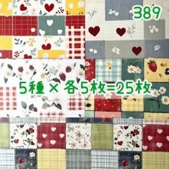 ［389］shachi様 デザペ♡25枚