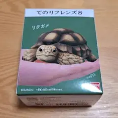 てのりフレンズ 8 リクガメ 未開封