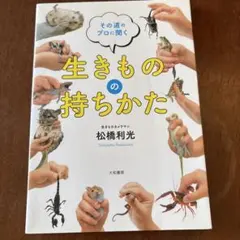 Item thumbnail for item 78ace382-8951-4ad2-a79c-a2ff3b39cf0e