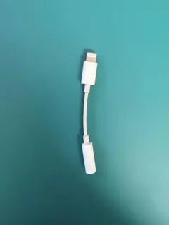 【Apple純正】lightning変換アダプタ ライトニング ケーブル