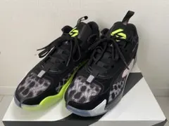 JORDAN LUKA 2 PF 27.5㎝ 조던 루카2
