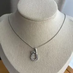 た*や様 【北5969】Dior Dロゴ ネックレス シルバーカラー - メルカリ