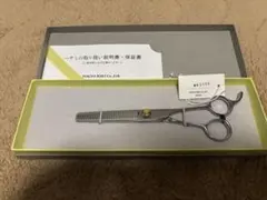 Item thumbnail for item 527de603-94ef-46e6-9d98-458999fa184d