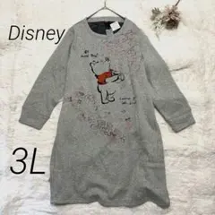 【新品❣️】Disney 裏シャギーAラインチュニックワンピース 3L