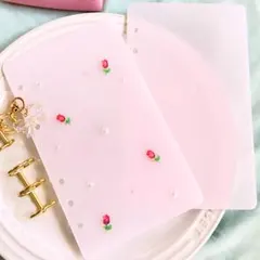 バインダー　推し活 韓国レジン saving 家計管理
