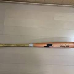 Item thumbnail for item 489af3c5-cb6c-45c3-9544-5a0bbed7dba2