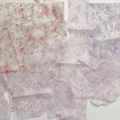 【専用】アンブリア ハギレ　バレリーナのみ