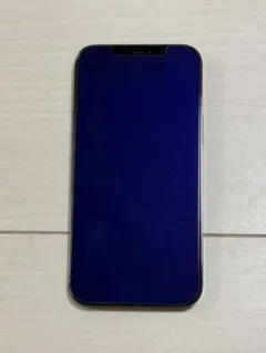 iPhone 12ProMax 本体