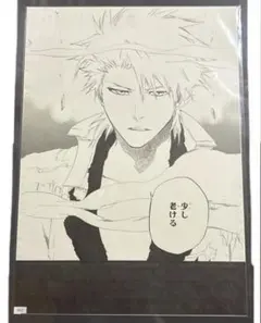 BLEACH ブリーチ 日番谷冬獅郎 複製原画 未開封 美品 BLEACH ブリーチ 日番谷冬獅郎 複製原画 未開封 美品 - メルカリ