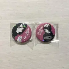 2026年最新】家入硝子 オールスター缶バッジの人気アイテム - メルカリ