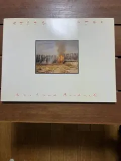 新品未開封洋書　RICHARD MISRACH CHRONOLOGIES　写真集 新品未開封洋書 RICHARD MISRACH CHRONOLOGIES 写真集 RICHARD