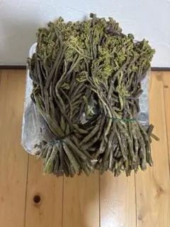 ○ラスト 令和8年度 わらび塩漬け【太め、極太】1kg 青森県産 - メルカリ