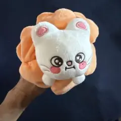 ジニレット アイドル