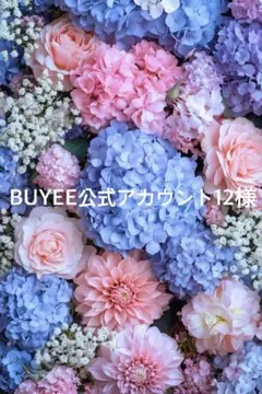 BUYEE公式アカウント12様専用