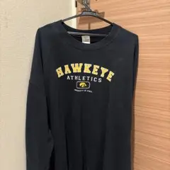 GILDAN Hawkeye Athletics スウェットシャツのサムネイル