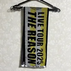 EXILE THE REASON マフラータオル