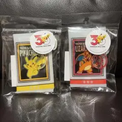 ポケモン 3COINS スリコ ポケモンPVCポーチ ピカチュウ リザードン