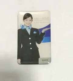 2025年最新】ANA マグネット akbの人気アイテム - メルカリ
