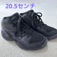 ASICS バスケットシューズ 20.5センチ　ブラック/パープル