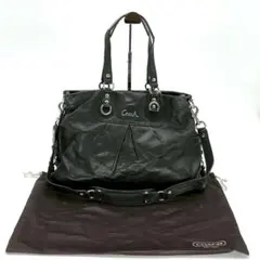 Coach Ashley Large Leather Tote Bag