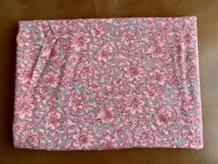 Item thumbnail for item 349719fa-24d8-4e46-9c16-0720444d48ef