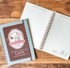 Item thumbnail for item 333b8a8a-82da-4164-a0df-e319a37e44a9