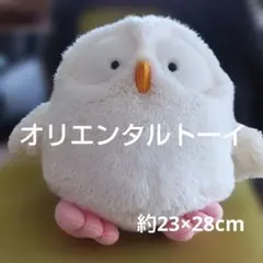 Item thumbnail for item fd83633c-ae97-4682-8a5e-90a81212e97d