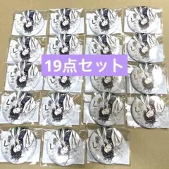 鬼滅の刃　コミケ　しのぶ　缶バッジセット