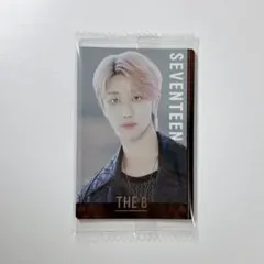 SEVENTEEN SVT セブチ ウエハース シール THE8 ミョンホ ハオ