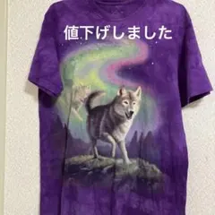 Item thumbnail for item 574b9698-e32d-4abb-aa74-2dd4ec69bc72