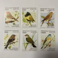 Item thumbnail for item f7181b0b-6cf5-4c61-8f8c-f81388c82a6a