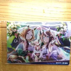 さぁちゃん様 リクエスト 2点 まとめ商品