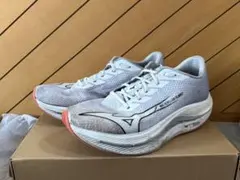 MIZUNO／WAVE REBELLION FLASH 2（28.0cm）