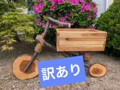 イギリス アンティーク 三輪車 ドールサイズ アイアン ラタン ワン